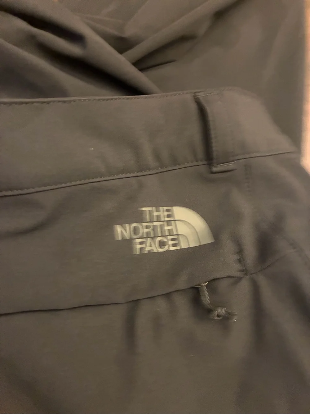 The North Face Men's Freedom Pant, TNF Black-NPF, Large Long